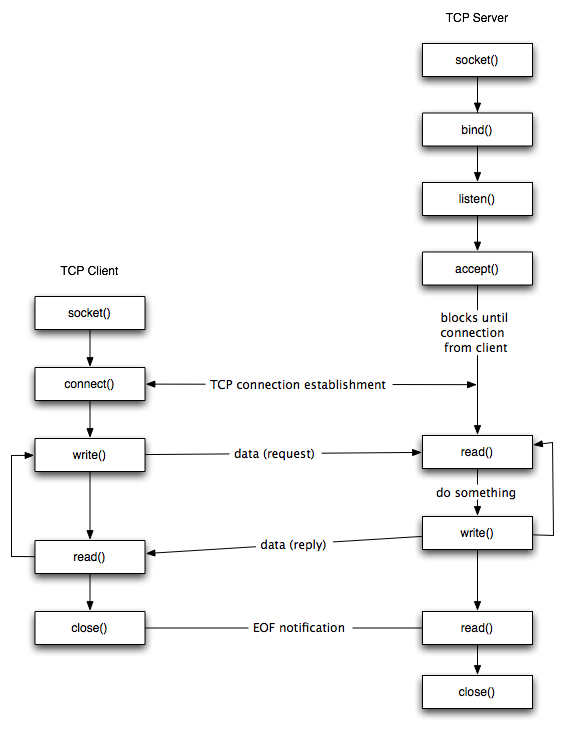 Linux Socket TCP