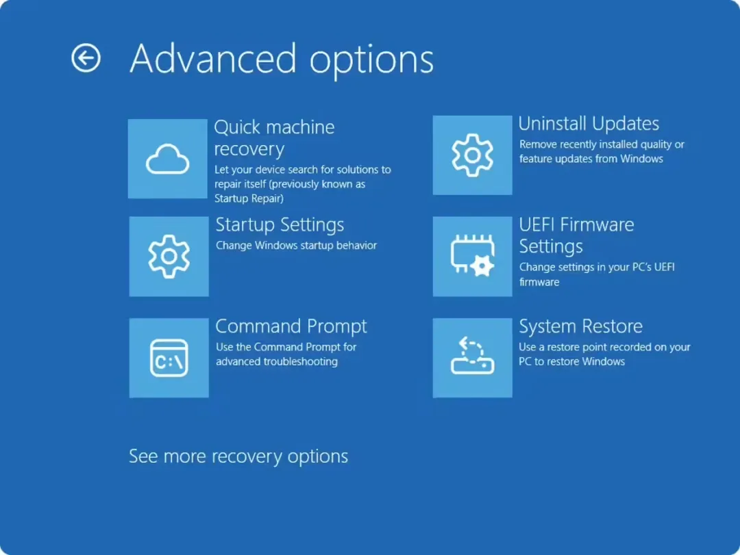 Windows 11 24H2 Hidden Feature