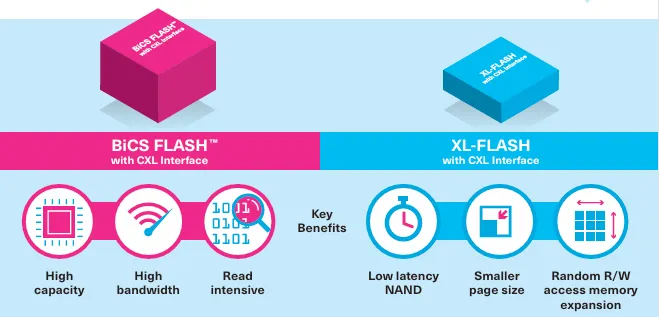 Nand Flash based on CXL