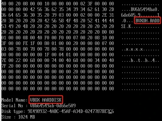 uEFI Disk info